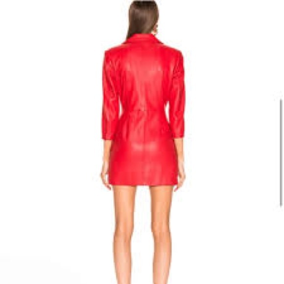 Retrofete Leatherr Willa Dress - Picture 4 of 5